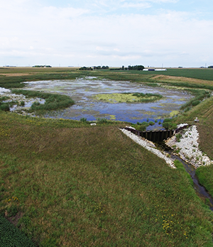 Agriculture Conservation Assistance Program